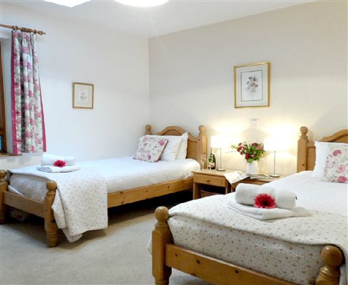 Twin room with room for an extra bed or to manoeuvre a wheelchair